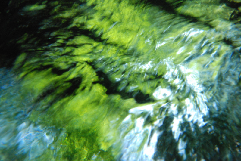 Grünes Flusswasser