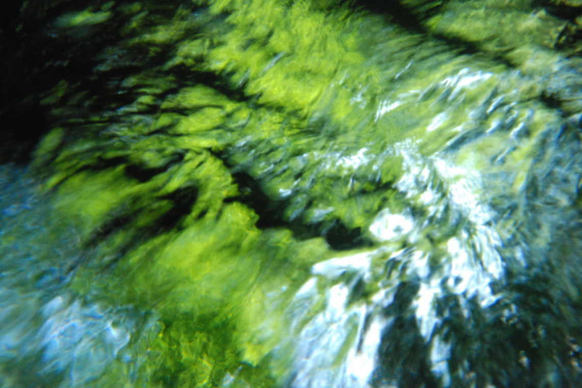 Fotoaufnahme Flusswasser in Grüntönen