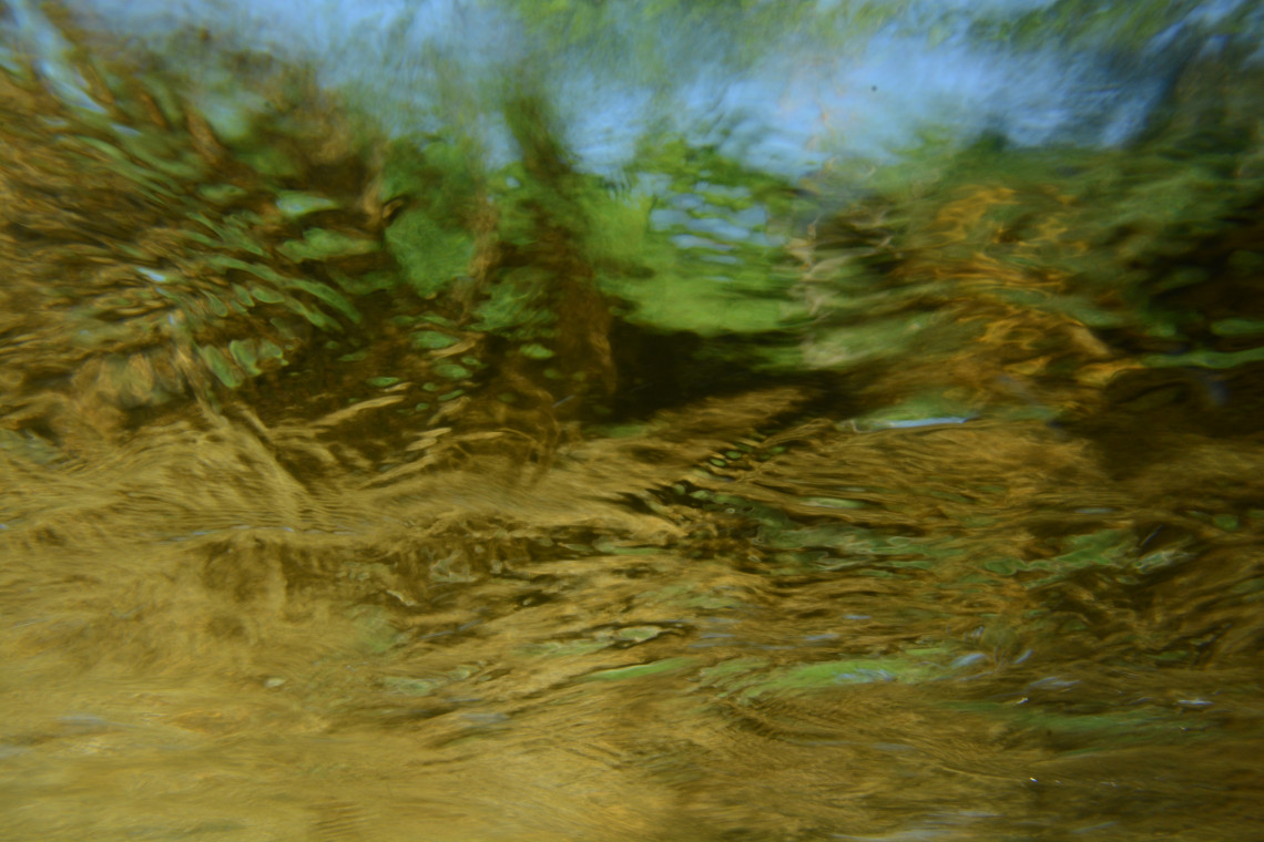 Fotoaufnahme Flusswasser in Grün-/Brauntönen
